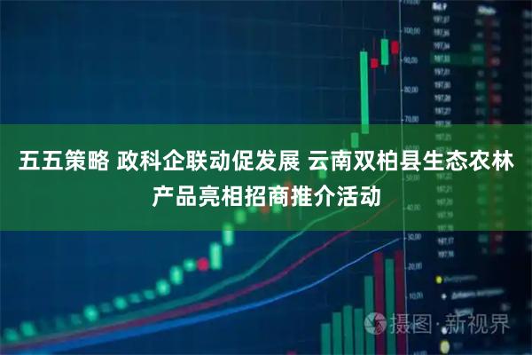 五五策略 政科企联动促发展 云南双柏县生态农林产品亮相招商推介活动