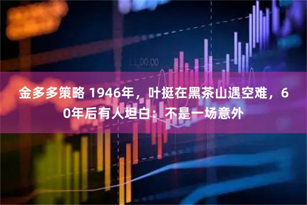 金多多策略 1946年，叶挺在黑茶山遇空难，60年后有人坦白：不是一场意外
