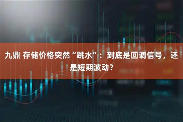 九鼎 存储价格突然“跳水”：到底是回调信号，还是短期波动？
