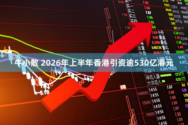 牛小散 2026年上半年香港引资逾530亿港元