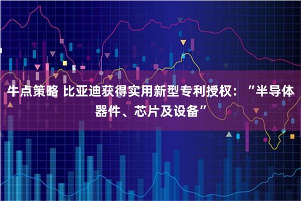 牛点策略 比亚迪获得实用新型专利授权：“半导体器件、芯片及设备”