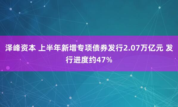 泽峰资本 上半年新增专项债券发行2.07万亿元 发行进度约47%