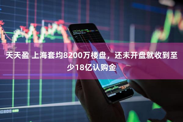 天天盈 上海套均8200万楼盘，还未开盘就收到至少18亿认购金