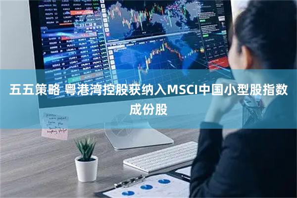 五五策略 粤港湾控股获纳入MSCI中国小型股指数成份股