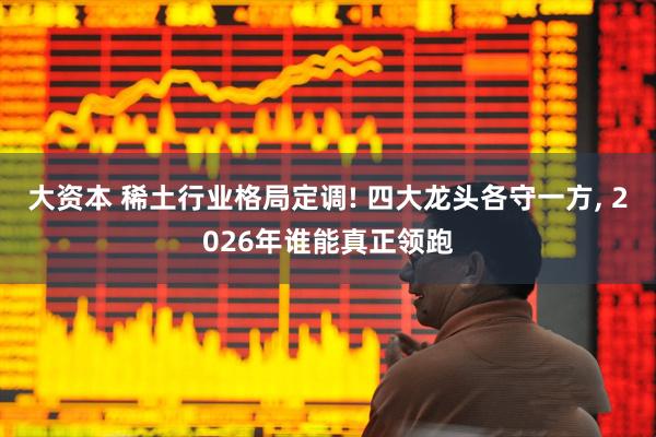 大资本 稀土行业格局定调! 四大龙头各守一方, 2026年谁能真正领跑